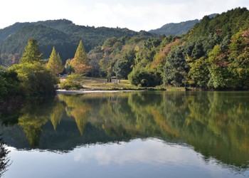 Onojo City