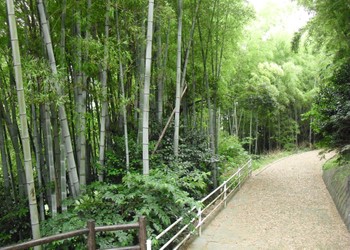 Yoshitomi Town