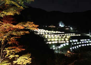 Toho Village