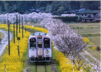 Miyako Town