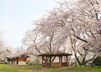 Mizumaki Town